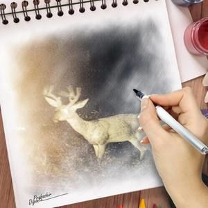 Meet your Posher, Monica